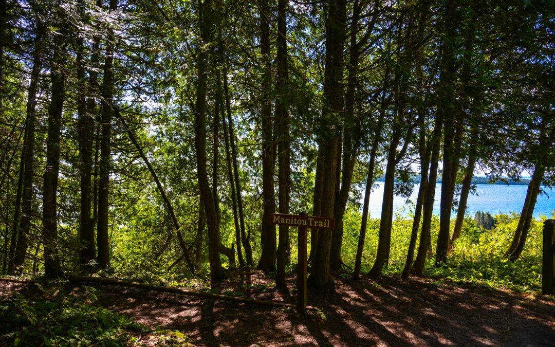 Plants to Avoid in Michigan’s Great Outdoors